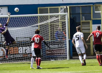 Racial abuse of England players