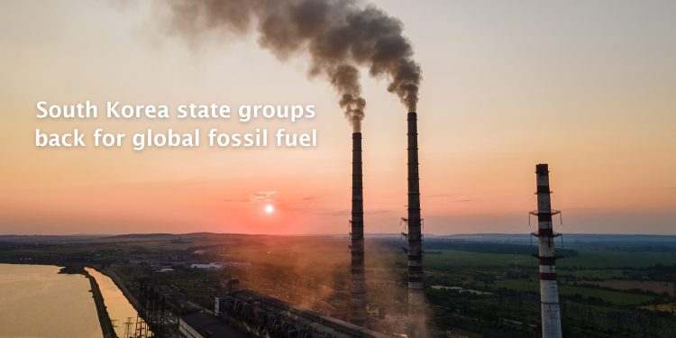 Renewable energy businesses, global fossil fuel projects