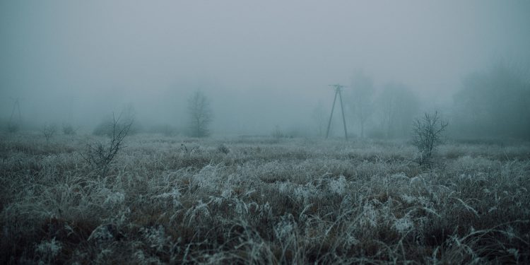 Climatic crisis, hottest temperatures, records in 2021