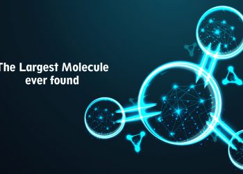 largest molecule, proto-planetary disks
