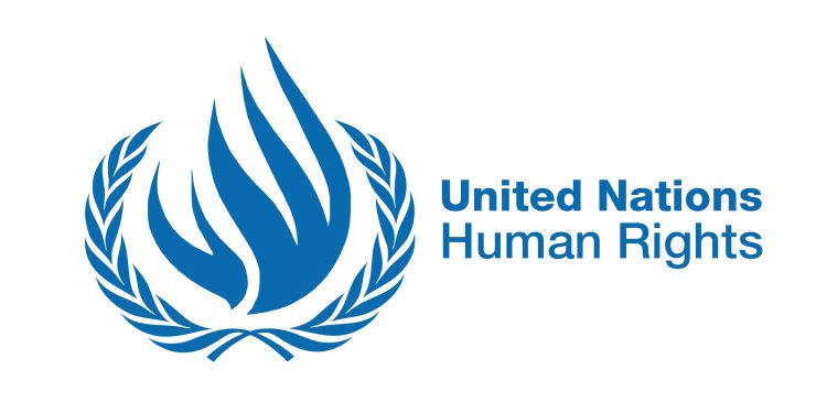 United Nations human rights chief, Victims of Racism 