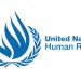 United Nations human rights chief, Victims of Racism 