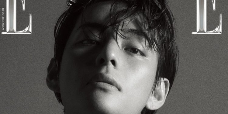 BTS Kim Taehyung, Celine Boy, Global Ambassador, Cover of Elle Korea, k-pop