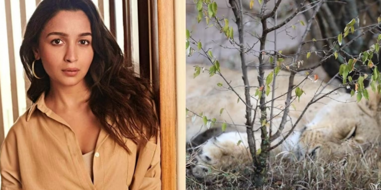 Alia Bhatt, social media, RRR movie, Monday blues