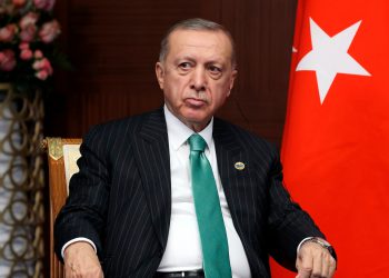 The President of Turkey, Erdogan Turkish president, re-elected, Erdogan's victory, all-powerful