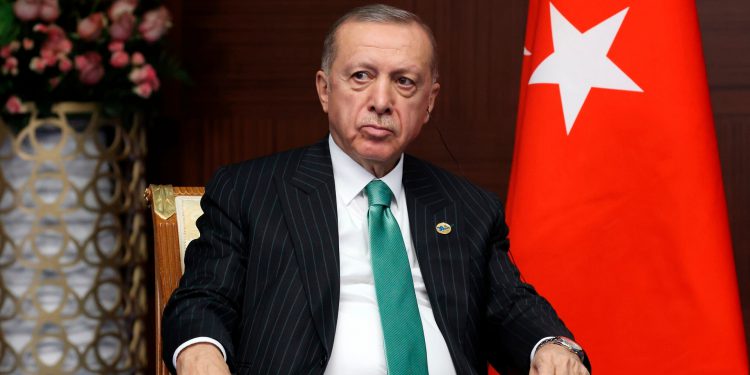 The President of Turkey, Erdogan Turkish president, re-elected, Erdogan's victory, all-powerful