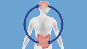 Gut-Brain Connection, Mental Well-being, Gut-Issues, psychological stressors, problems with digestion