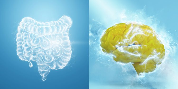 Gut-Brain Connection, Mental Well-being, Gut-Issues, psychological stressors, problems with digestion