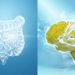 Gut-Brain Connection, Mental Well-being, Gut-Issues, psychological stressors, problems with digestion