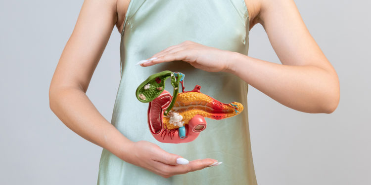 The digestive system of humans, the digestive system diseases, the digestive system definition, the digestive system diagram, the digestion system,