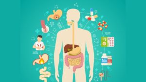 The digestive system of humans, the digestive system diseases, the digestive system definition, the digestive system diagram, the digestion system,