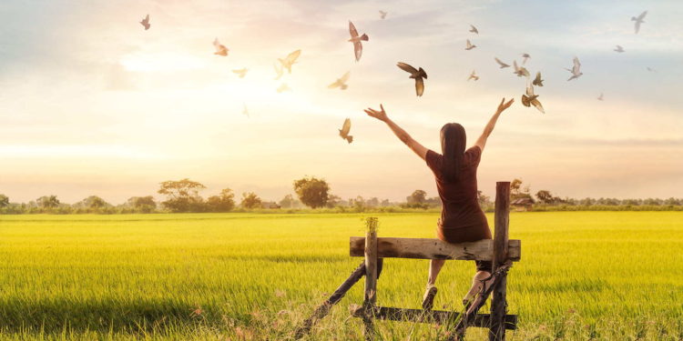 Simple Pleasures, healing journey, healing is not linear, pleasures unknown, pleasure land