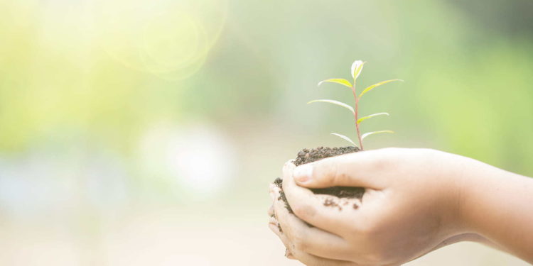 Healing journey, wellness way, Importance of self-care, trauma experience, healing spirit,