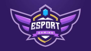 Electronic sport, esports center, sports connection, sports world, sports zone, 