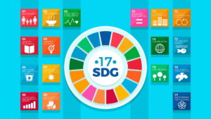 SDGs, Sustainability goal 17, 17 sustainable goals of the United Nations, sustainable materials, global solutions