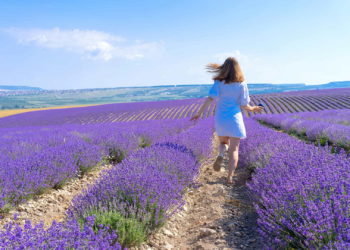 Travel therapy, body-mind-spirit, therapeutic travel, journey to wellness