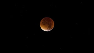 Lunar eclipse of 2024, March lunar eclipse, worm moon lunar eclipse, first lunar eclipse