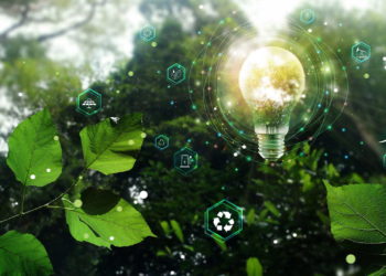 Essential Sustainability Policies, Eco-friendly policies, Sustainable businesses, Environmental responsibility, Sustainable business goals