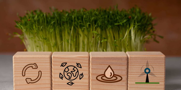 Sustainable Living, Eco-Friendly, Eco-friendly lifestyle, environmentally conscious, Green living