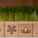 Sustainable Living, Eco-Friendly, Eco-friendly lifestyle, environmentally conscious, Green living