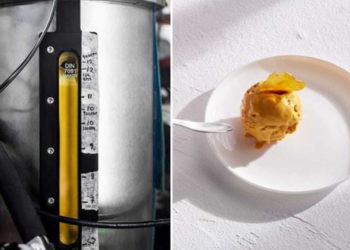 Solein, Eco-friendly, innovative foods, sustainable food