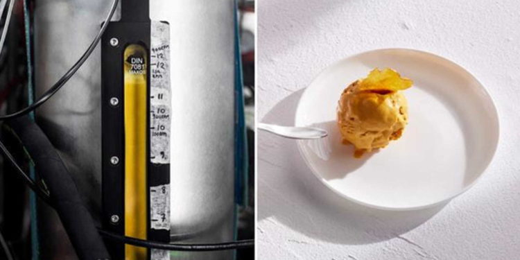 Solein, Eco-friendly, innovative foods, sustainable food