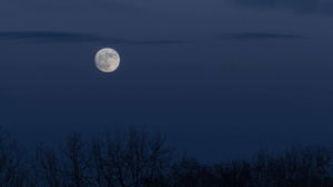 Blue moon 2024, blue moon light sky, blue moon light, blue moon picture, blue moon photos