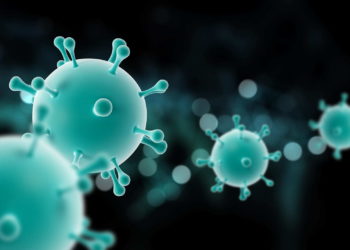 Hypogammaglobulinemia, immunoglobulins, antibodies in the blood, Low immunoglobulin, Hypogammaglobulinemia symptoms