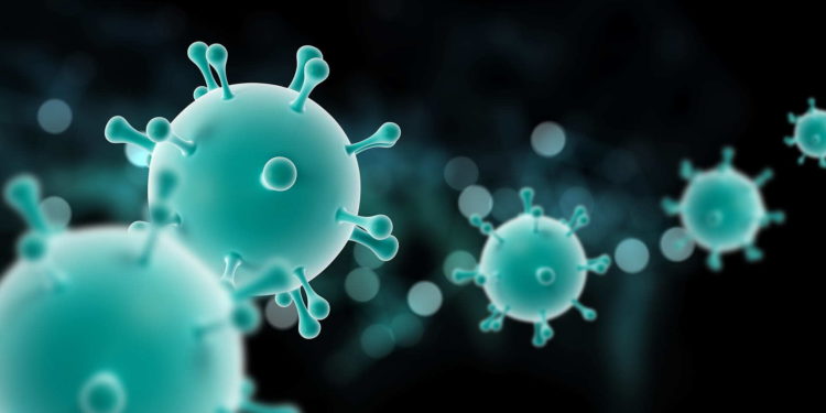 Hypogammaglobulinemia, immunoglobulins, antibodies in the blood, Low immunoglobulin, Hypogammaglobulinemia symptoms