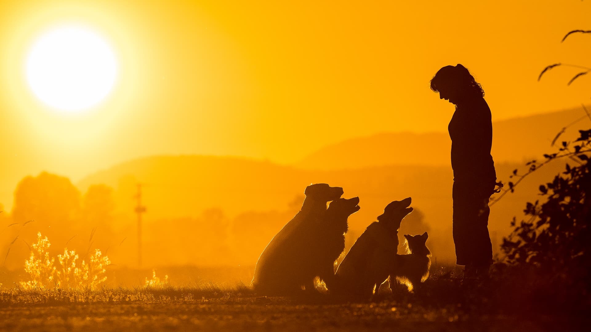 Avoid Sunight A Guide to Sunlight Health Benefits for human wellbeing