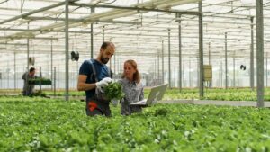 Vertical farming