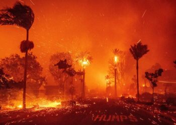 Los Angeles wildfires, City in California
