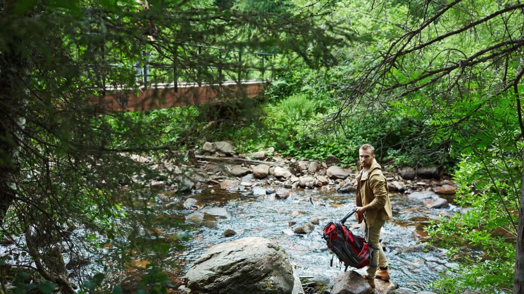 Shinrin-yoku, forest bathing in Japan
